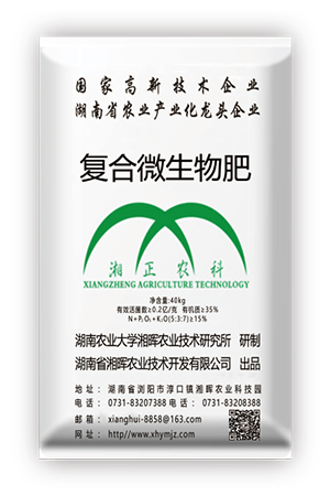 复合微生物肥